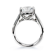 Trellis Solitaire Engagement Ring: lucida,trellis,platinum,engagement ring,wedding ring,engagement rings,diamond engagement rings